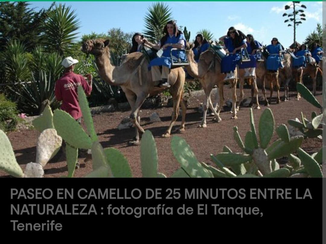 La Fortaleza Erjos-El Tanque Kültér fotó